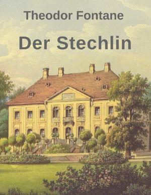 Cover of the book Der Stechlin by Krista Raye