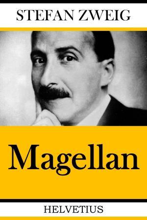 Cover of the book Magellan by Michael Trieb