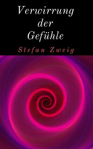 Cover of the book Verwirrung der Gefühle by Peter Schmidt