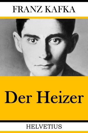 Book cover of Der Heizer