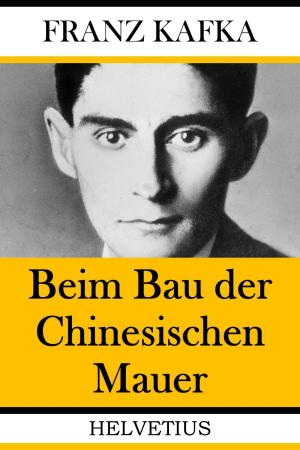 Cover of the book Beim Bau der Chinesischen Mauer by Dani Parthum
