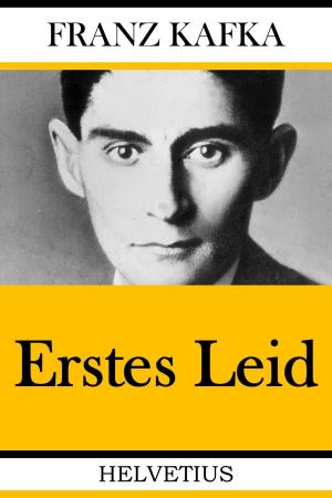 Cover of the book Erstes Leid by Rainer Riedl
