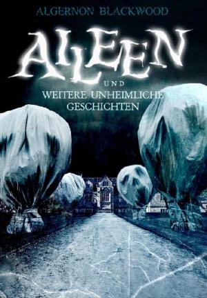 Cover of the book Aileen by Dirk K. Zimmermann