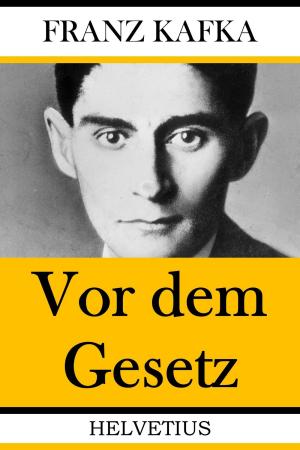Cover of the book Vor dem Gesetz by Helmut Höfling