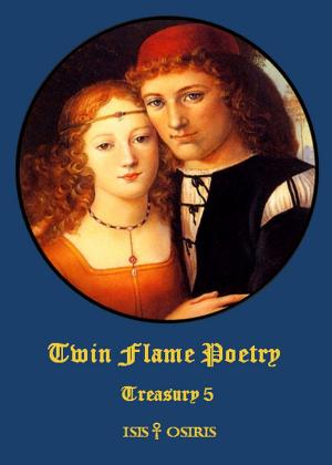 Cover of the book Twin Flame Poetry by Werner Schwörer