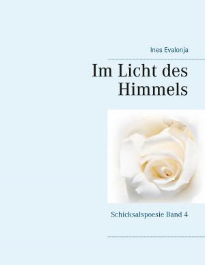 Cover of the book Im Licht des Himmels by Hartmut Zänder