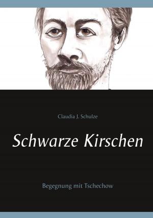 Cover of the book Schwarze Kirschen by Denisa Stanislav