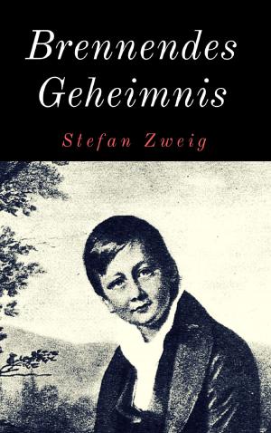 Cover of the book Brennendes Geheimnis by Jobst Schlennstedt