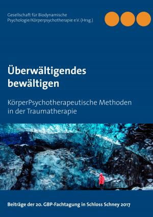 Cover of the book Überwältigendes bewältigen by Stefan Wahle