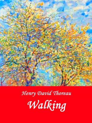 Cover of the book Walking by Andrea Meiling