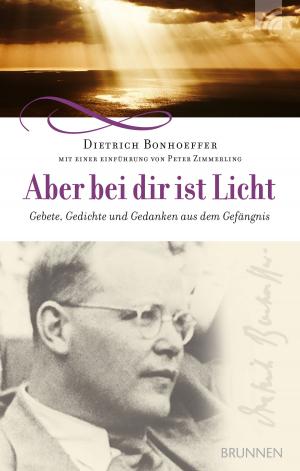 Cover of the book Aber bei dir ist Licht by Anselm Grün, Clemens Bittlinger