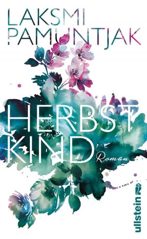 Cover of the book Herbstkind by Olaf Blumberg