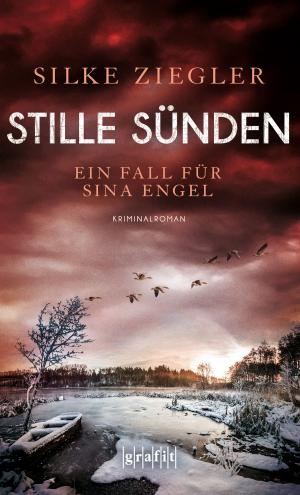 Cover of the book Stille Sünden by Gabriella Wollenhaupt