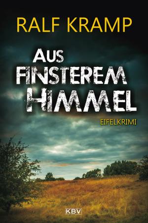 Cover of the book Aus finsterem Himmel by Volker Dützer