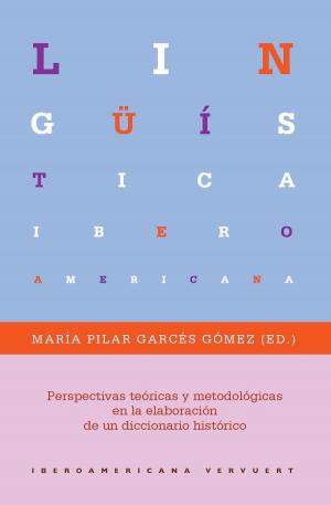 Cover of the book Perspectivas teóricas y metodológicas en la elaboración de un diccionario histórico by Manuel Pérez