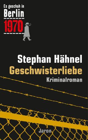 Cover of the book Geschwisterliebe by Jan Eik