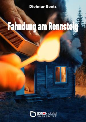Cover of the book Fahndung am Rennsteig by Manfred Richter