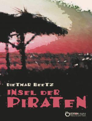 Cover of the book Insel der Piraten by Dietmar Beetz