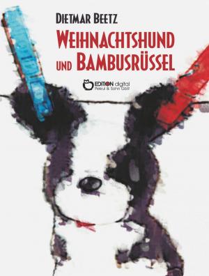 Book cover of Weihnachtshund und Bambusrüssel