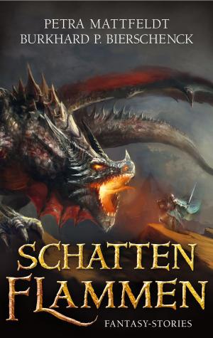 bigCover of the book Schattenflammen by 