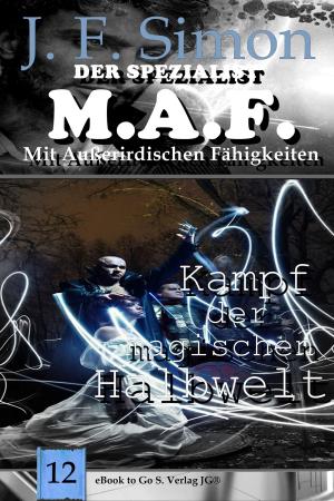 Cover of the book Kampf der magischen Halbwelt by Yasmin Mahler