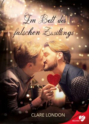 Cover of the book Im Bett des falschen Zwillings by Jessica Martin