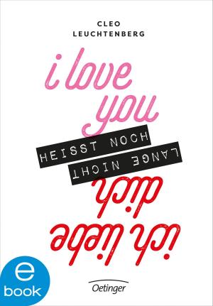 Cover of the book I love you heißt noch lange nicht Ich liebe dich by James Frey