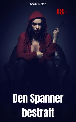 Book cover of Den Spanner bestraft