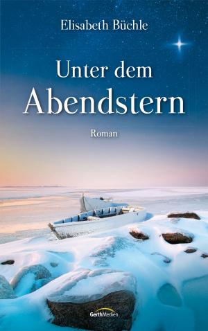 Cover of Unter dem Abendstern