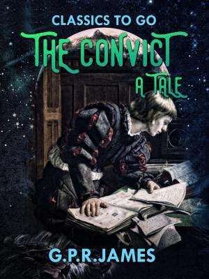 Book cover of The Convict: A Tale