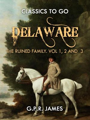 Book cover of Delaware; or, The Ruined Family. Vol.1,2 And 3