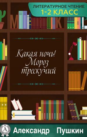 Cover of the book Какая ночь! Мороз трескучий by Николай Гоголь