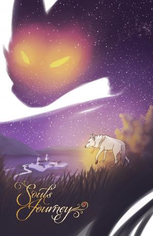 Cover of the book Soul's Journey Vol 1 by Blake Pitcher