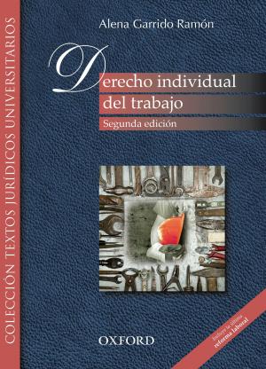 Cover of the book Derecho individual del trabajo (incluye la última reforma laboral) by Jennifer Bassett