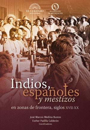 Book cover of Indios, españoles y meztizos en zonas de frontera, siglos XVII-XX