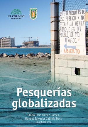 Cover of the book Pesquerías globalizadas by Zulema Trejo