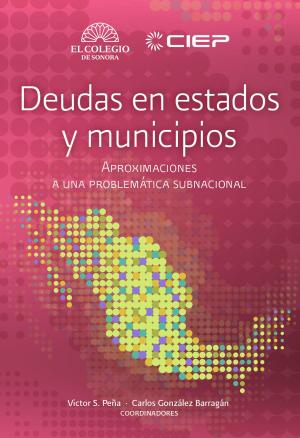 Book cover of Deudas en estados y municipios