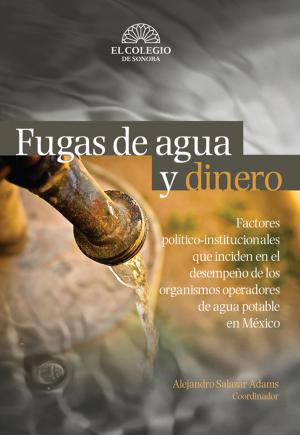 Cover of Fugas de agua y dinero