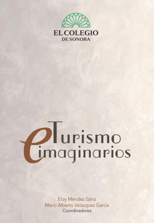 Cover of the book Turismos e imaginarios by Zulema Trejo