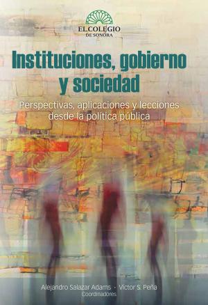 Book cover of Instituciones,gobierno y sociedad