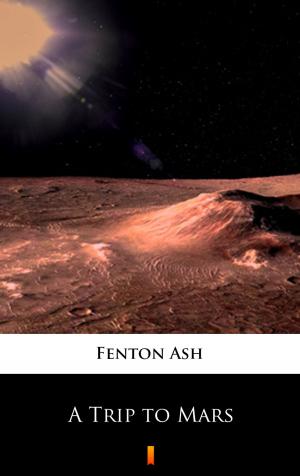 Cover of the book A Trip to Mars by Arthur Morrison