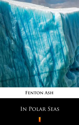 Cover of the book In Polar Seas by A. Merritt