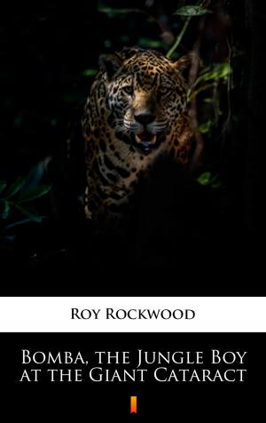 bigCover of the book Bomba, the Jungle Boy at the Giant Cataract by 
