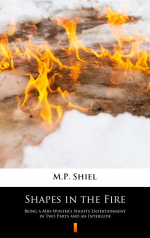 Cover of the book Shapes in the Fire by Burt L. Standish