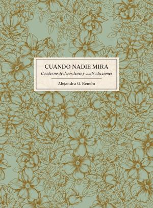 Cover of the book Cuando nadie mira by Autores varios