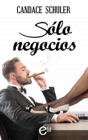 Cover of the book Solo negocios by Nicola Cornick