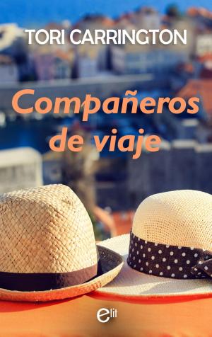 Cover of the book Compañeros de viaje by Melissa Marr