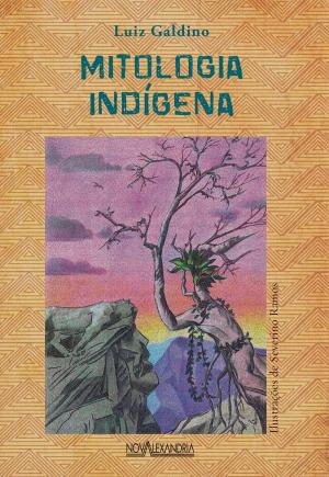 Cover of the book Mitologia indígena by Melisa Cahnmann-Taylor