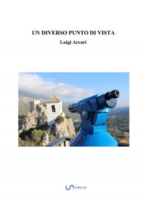 Cover of the book Un diverso punto di vista by Joel Calero