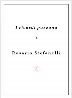 Book cover of I ricordi puzzano